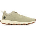 Baskets homme sur Grenoble : Baskets Timberland Winsor Park