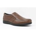 Chaussures Baerchi Chaussure homme marron 3800