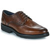 Derbies Brett & Sons ANTIQ