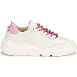 Baskets Agl $