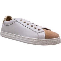 Baskets Agl $