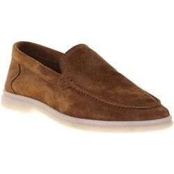 Derbies Impact 262R