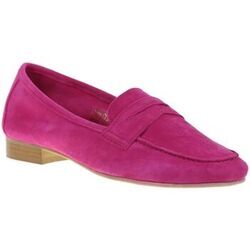 Derbies We Do CO11261