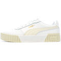 Baskets basses Puma 385849-23