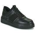 Baskets basses Stonefly ALLEGRA 8 Grenoble