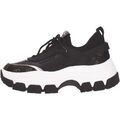 Baskets Guess -