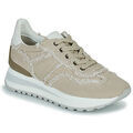 Baskets femme sur Grenoble : Baskets basses Regard GIEN V2 CANVAS PANNA