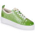 Baskets basses Melvin & Hamilton AMBER 6