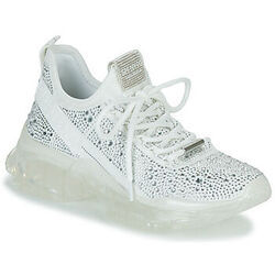 Baskets basses Steve Madden MAXIMA-R