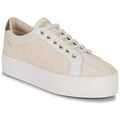 Baskets basses No Name PLATO M BRIDGE Beige