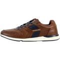 Baskets basses Redskins Basket &agrave; Lacets Adjo Marron