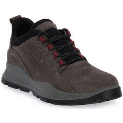 Chaussures IgI&CO GUM GRIGIO