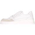 Baskets Guess -