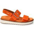 Tennis sur Grenoble : Chaussures Mephisto BELONA