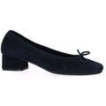 Ballerines Reqin's Ballerines cuir velours