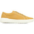 Baskets Timberland Seneca Bay Canvas Ox