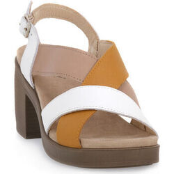 Chaussures IgI&CO AISHA BIANCO