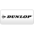 Pneus 4x4 / SUV sur Grenoble : Pneu DUNLOP SP Winter Sport 4D* (225/60 R17)