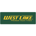 Pneu WESTLAKE ST290 C (165/70 R13)