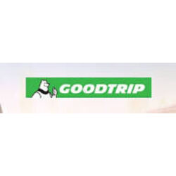 Pneu GOODTRIP SafeGuard AS C (185/80 R14)