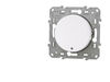 SCHNEIDER ELECTRIC Poussoir lumineux localisation Schneider Odace