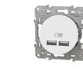 Appareillage &agrave; encastrer sur Seyssins : SCHNEIDER ELECTRIC Prise USB double Schneider Odace