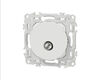 SCHNEIDER ELECTRIC Prise TV coaxiale simple Blanc craie Schneider Odace