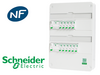 SCHNEIDER ELECTRIC Tableau pr&eacute;c&acirc;bl&eacute; 11 disj + 2 ID Schneider Resi9 XE embrochable