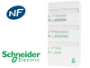 SCHNEIDER ELECTRIC Tableau pr&eacute;c&acirc;bl&eacute; 14 disj + 3 ID Schneider Resi9 XE embrochable