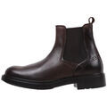 Bottes Limma ANDI