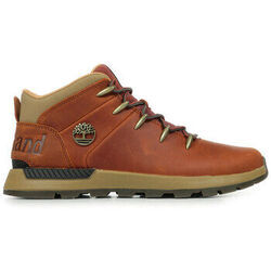 Baskets Timberland Sprint Trekker Mid Lace Sneaker