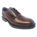 Chaussures Baerchi Chaussure homme marron 1160