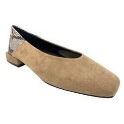 Chaussures Bienve Chaussure femme s3416 taupe