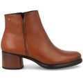 Bottes femme sur Grenoble : Bottines Dorking -