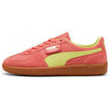 Baskets femme sur Grenoble : Baskets Puma Palermo