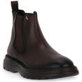 Chaussures Alberto Guardiani TDM