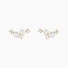 Histoire d'Or Boucles D'Oreilles Puces Katri Or Jaune Perle De Culture Oxyde De Zirconium