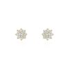 Histoire d'Or Boucles D'oreilles Or Jaune Darice Oxydes