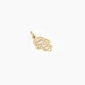 Pendentifs sur Grenoble : Histoire d'Or Pendentif Fayiz Or Jaune