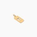 Pendentifs sur Grenoble : Histoire d'Or Pendentif Ingram Or Jaune