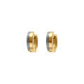 Boucles d'oreille en acier et PVD dor&eacute; et cha&icirc;nette brillante Artemare
