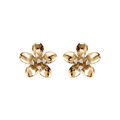 Boucles d'oreille sur Artemare : Boucles d'oreille tige en argent dor&eacute; fleur et oxydes blancs sertis, fermoir poussette