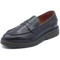 Chaussures de ville homme sur Grenoble : Mocassins NeroGiardini I400360U Kenia Col
