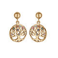 Boucles d'oreille sur Artemare : Boucles d'oreille en vermeil rondelle arbre de vie pierres multi couleurs