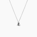 Colliers sur Grenoble : Histoire d'Or Collier Oya Argent Blanc Oxyde De Zirconium