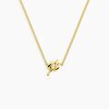 Colliers sur Grenoble : Histoire d'Or Collier Allure Argent Jaune