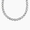 Colliers sur Grenoble : Histoire d'Or Collier Allure Argent Blanc