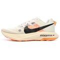 Running sur Grenoble : Chaussures Nike DZ0489-100