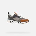 Baskets homme sur Grenoble : Baskets Geox SPHERICA U46HRA