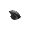 Souris TRUST 24820